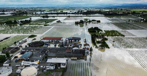 SIMEST: dal 26 Giugno via alle Richieste di Ristoro per le Imprese Esportatrici Alluvionate
