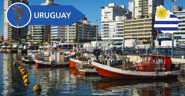 Uruguay: Un Piccolo Grande Paese