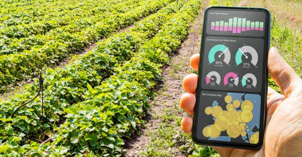 Rivoluzione a Tavola: l'Impatto dell'Intelligenza Artificiale sull'Industria Alimentare
