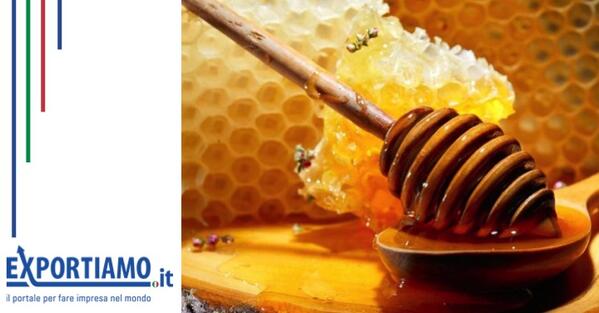 Vola l'export del miele italiano: +11% nel 2015